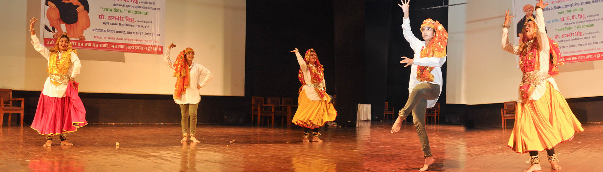 NSS cultural activities